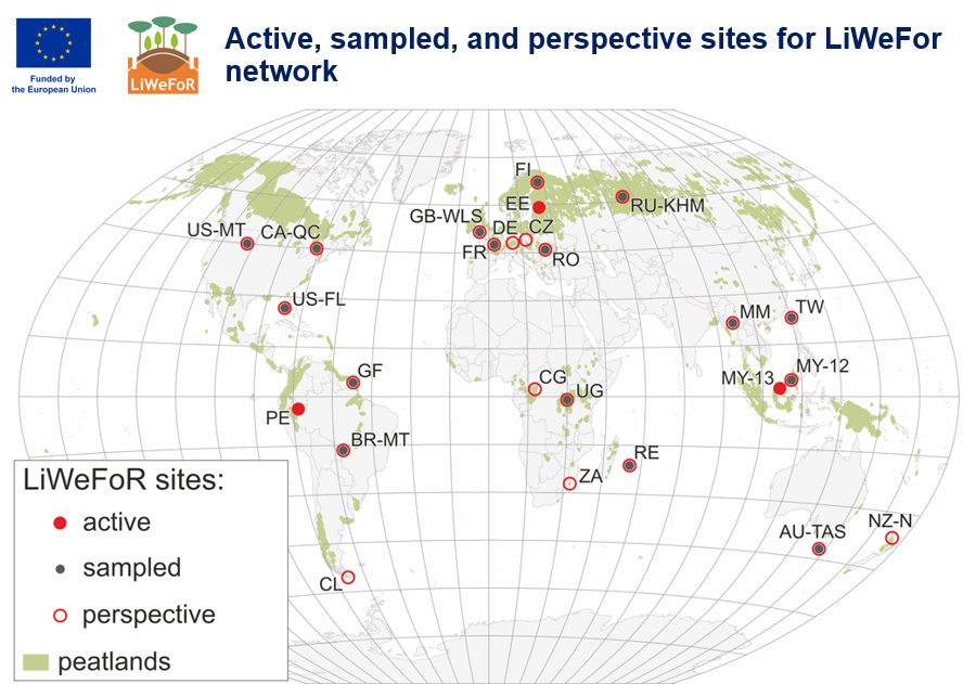 Global map with LiWeFoR sites labelled as red for active, and black dots as those sites which are already sampled, and the red circles as perspective of future potential sites. Green represents the peatland presence